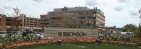 Bronson Pediatric Endocrinology Specialists