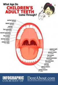 Practice Profile