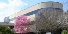 Orlando Orthopaedic Center