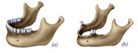 Practice Profile