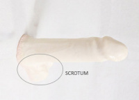Practice Profile