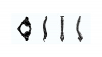 Practice Profile