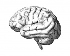 IN Focus First, Psychiatry Simplified.