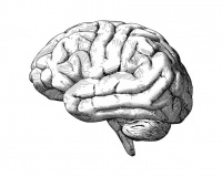 Psychiatry, Simplified.