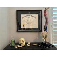 Practice Profile