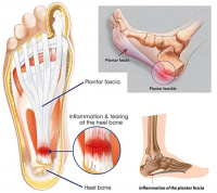 Practice Profile