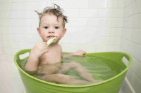 Dentist, Cosmetic dental, Restorative dental, Emergency dental care