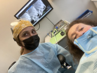 Practice Profile