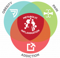 Padda Institute Model of Pain