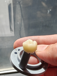 Emax Crown
