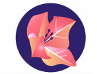 Delicate Dental Arts