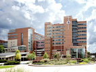 Michael S. Beckenstein, MD