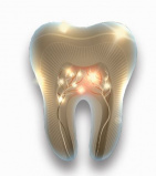 South Sound Endodontics