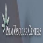 Palm Vascular Center Broward