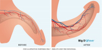 Practice Profile