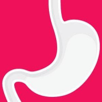 Practice Profile