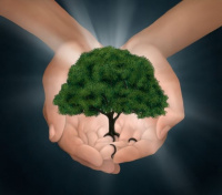 Empowerment ~ Healing ~ Recovery