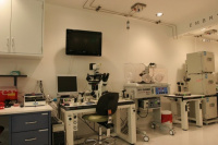 Fertility Labratory at Pacific Fertility Center