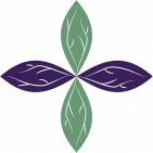 Denver Fibroids