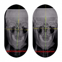 Practice Profile