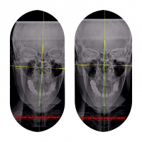 Practice Profile