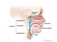 Practice Profile