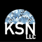 Kurlan Specialized Neurology, LLC