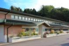 Bronson Hand and Elbow Surgery Specialists - Battle Creek