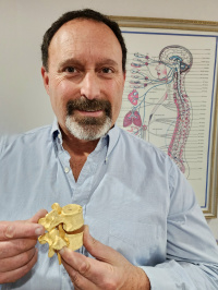 Dr. Martin rev iewing what the lumbar vertebrae and nerve looks like.