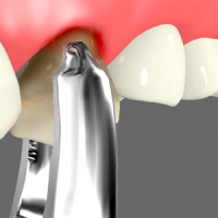 Practice Profile