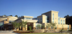 Davis Orthopedics