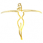 Total Women's Health of Baltimore