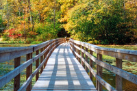Child, Adolescent and Family Psychotherapy