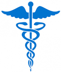 Dr. Amiel Levin, MD