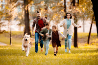 Dentist PRIMARY, Oral surgeon, Dental clinic