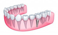 Practice Profile