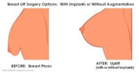 Practice Profile