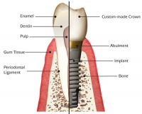 Practice Profile