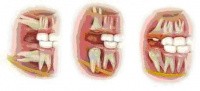Practice Profile