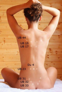 Practice Profile