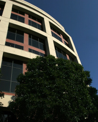 Practice Profile