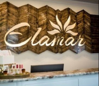 Elamar Skin Science