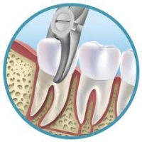 Practice Profile