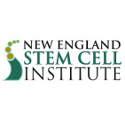 New England Stem Cell Institute