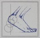 Foot and Ankle Physicians, P.A.