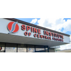 Spine Institute of Central Florida