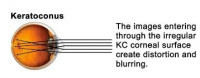 Practice Profile