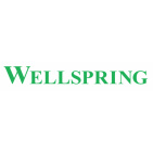 Wellspring Pain Solutions