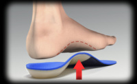 Certified Provider of SOLE SUPPORTS - true custom foot orthotics