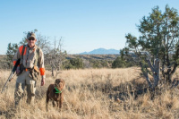 Dr Clark and Gunner finding birds 1